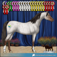 Horse Color:Liver Red Dun Roan Rabicano 