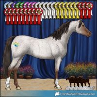 Horse Color:Liver Red Dun Roan Rabicano 