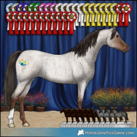 Horse Color:Liver Red Dun Roan Rabicano 