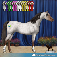 Horse Color:Liver Red Dun Roan Rabicano