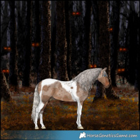 Horse Color:Silver Brown Dun Merle Tobiano 