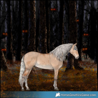 Horse Color:Powder White Silver Bay Dun Merle