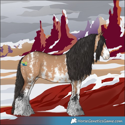 Horse Color:Bay Dun Sabino