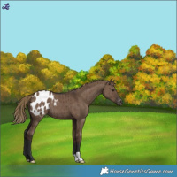 Horse Color:Liver Red Dun Varnish Brindle