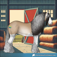 Horse Color:Gray Bay Dun Splash 