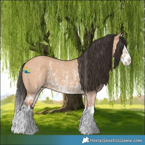 Horse Color:Bay Dun Sabino Splash  and Bay Dun Sabino Splash 
