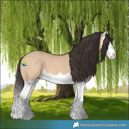 Horse Color:Bay Dun Splash 