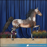 Horse Color:Brown Ice 