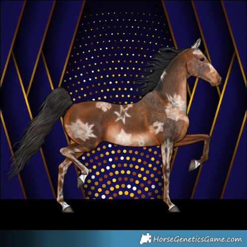 Horse Color:Brown Ice