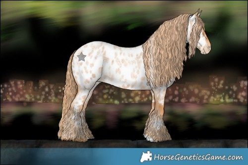 Horse Color:Red Roan Near Leopard 