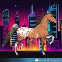 Horse Color:White Spotted Bay Blanket 