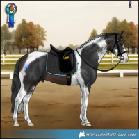 Horse Color:Brown Sabino Tobiano