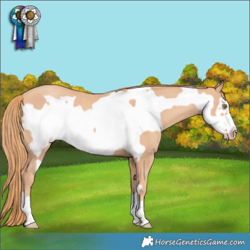 Horse Color:Gold Champagne Frame 