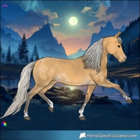 Horse Color:Silver Buckskin