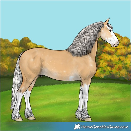 Horse Color:Silver Buckskin Dun Splash