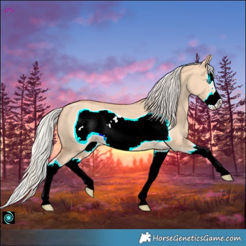Horse Color:Silver Classic Champagne Dun Splash Frame 
