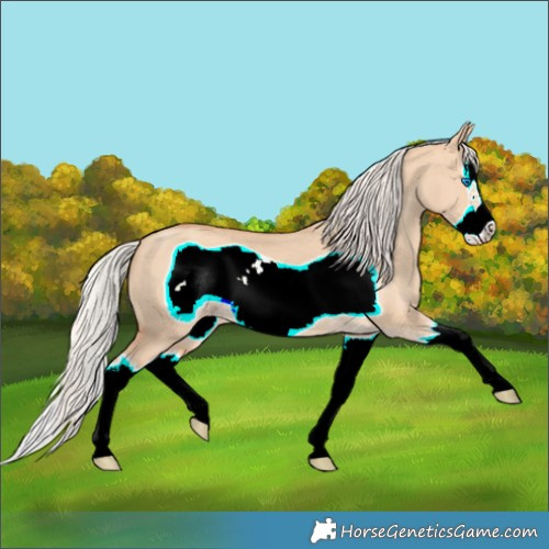 Horse Color:Silver Classic Champagne Dun Splash Frame 