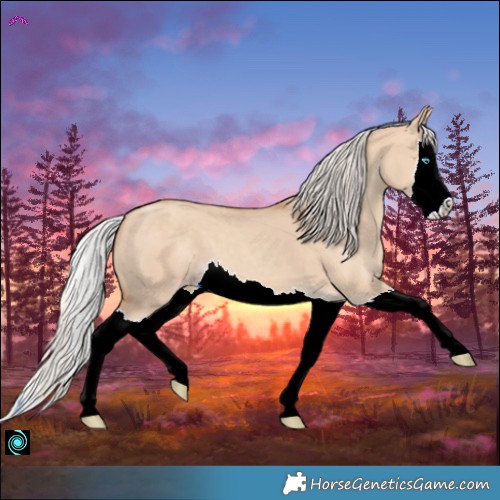 Horse Color:Silver Classic Champagne Dun Splash 