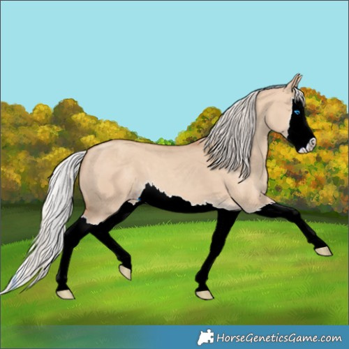 Horse Color:Silver Classic Champagne Dun Splash 