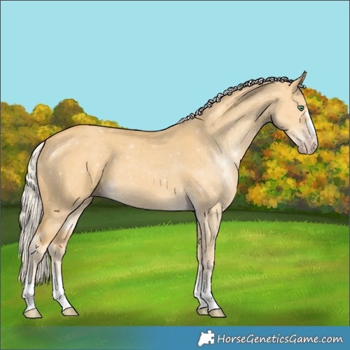 Horse Color:Silver Classic Cream Champagne Dun 