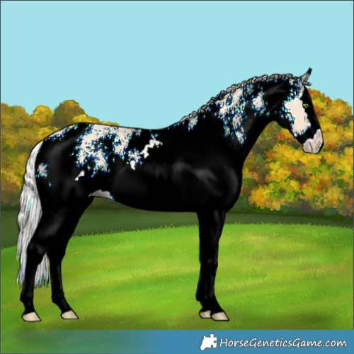 Horse Color:White Spotted Silver Classic Champagne Dun Splash 