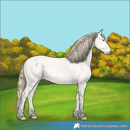 Horse Color:Perlino Roan Dun