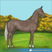 Horse Color:Silver Black 
