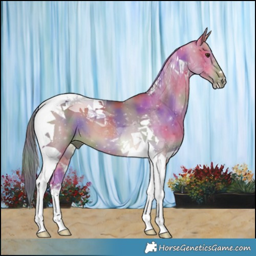 Horse Color:Nacre Brown Dun Tobiano 