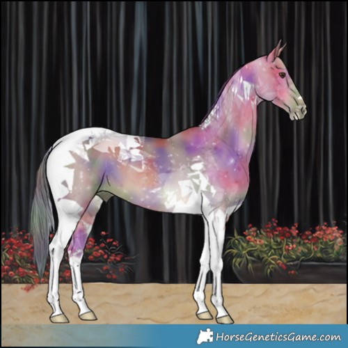 Horse Color:Nacre Brown Dun Tobiano 