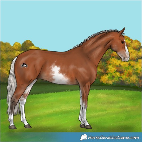Horse Color:White Spotted Silver Bay Splash 