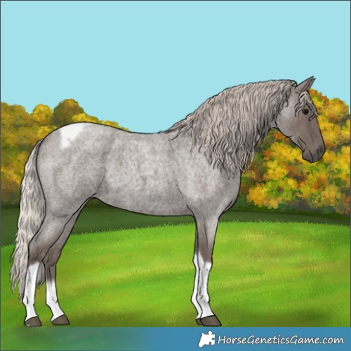 Horse Color:Silver Blue Roan Tobiano Frame