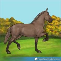 Horse Color:Liver Red Dun