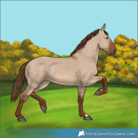 Horse Color:Red Dun
