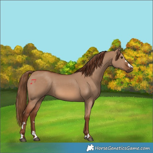 Horse Color:Red Dun