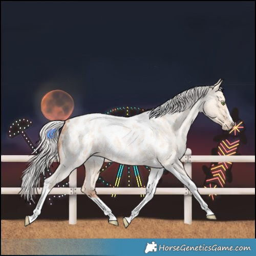 Horse Color:Silver Amber Champagne Roan Dun Splash Tobiano Frame Near Leopard Rabicano 