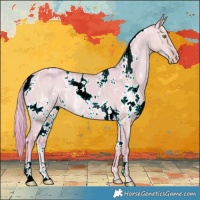 Horse Color:Watercolor White Spotted Amber Champagne Ice Dun 