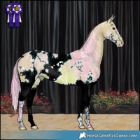 Horse Color:Watercolor White Spotted Bay Ice Splash Rabicano 