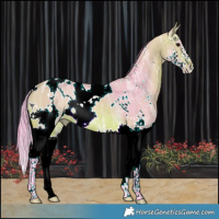 Horse Color:Watercolor White Spotted Bay Ice Splash Rabicano