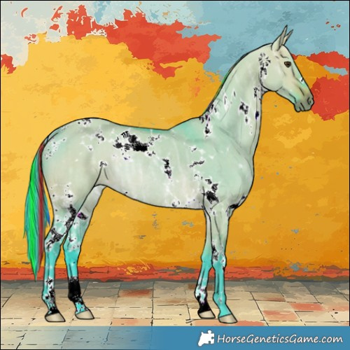 Horse Color:Painted Watercolor White Spotted Bay Ice Dun Rabicano 