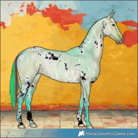 Horse Color:Painted Watercolor White Spotted Bay Ice Dun Rabicano 