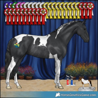 Horse Color:Black Tobiano Rabicano