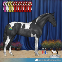 Horse Color:Black Tobiano Rabicano 