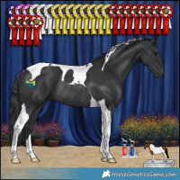 Horse Color:Black Tobiano Rabicano 
