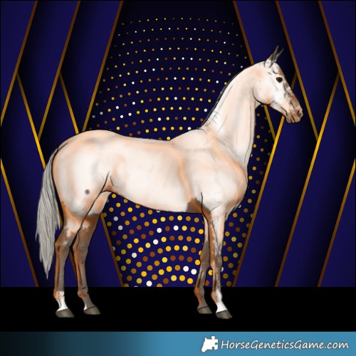 Horse Color:Silver Black Appaloosa 