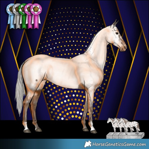 Horse Color:Silver Black Near Fewspot 