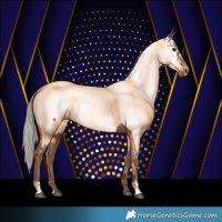 Horse Color:Silver Black Appaloosa