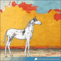 Horse Color:Gray White Spotted Silver Smoky Black Splash Tobiano