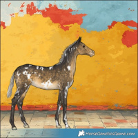 Horse Color:White Spotted Silver Buckskin Varnish 