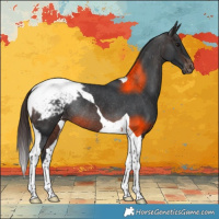Horse Color:Brown Tobiano Snowcap Rabicano 