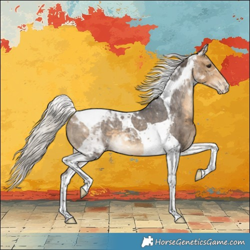 Horse Color:Silver Buckskin Tobiano Varnish 